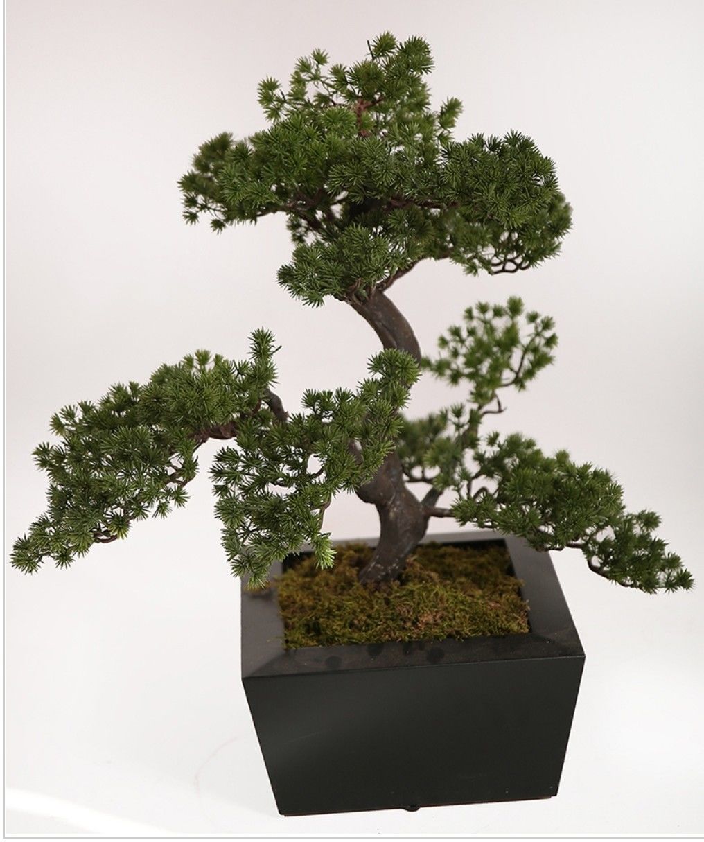 Yapay%20Pina%20Bonsai%20Kısa