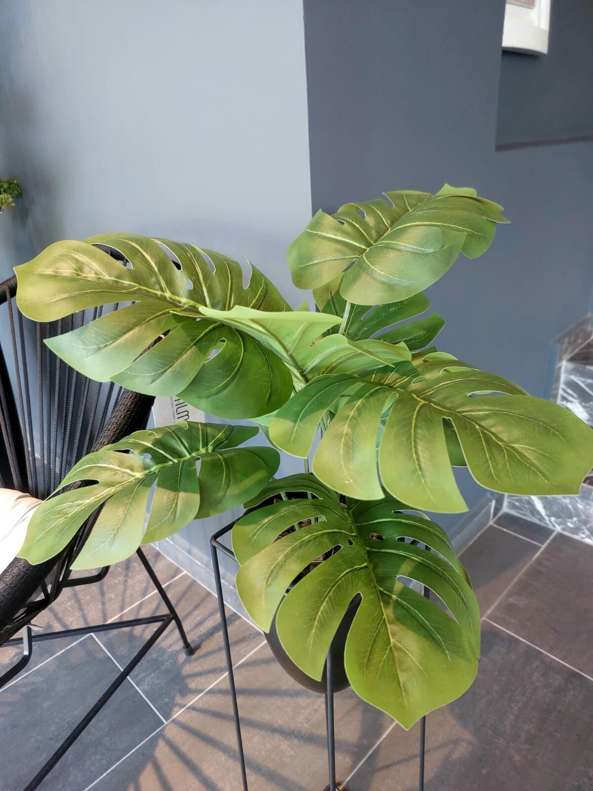 Metal%20Saksılı%20Monstera