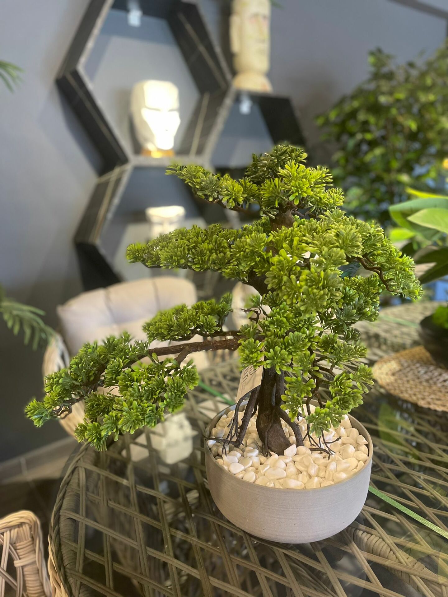 Fiber%20Beton%20saksılı%20bonsai