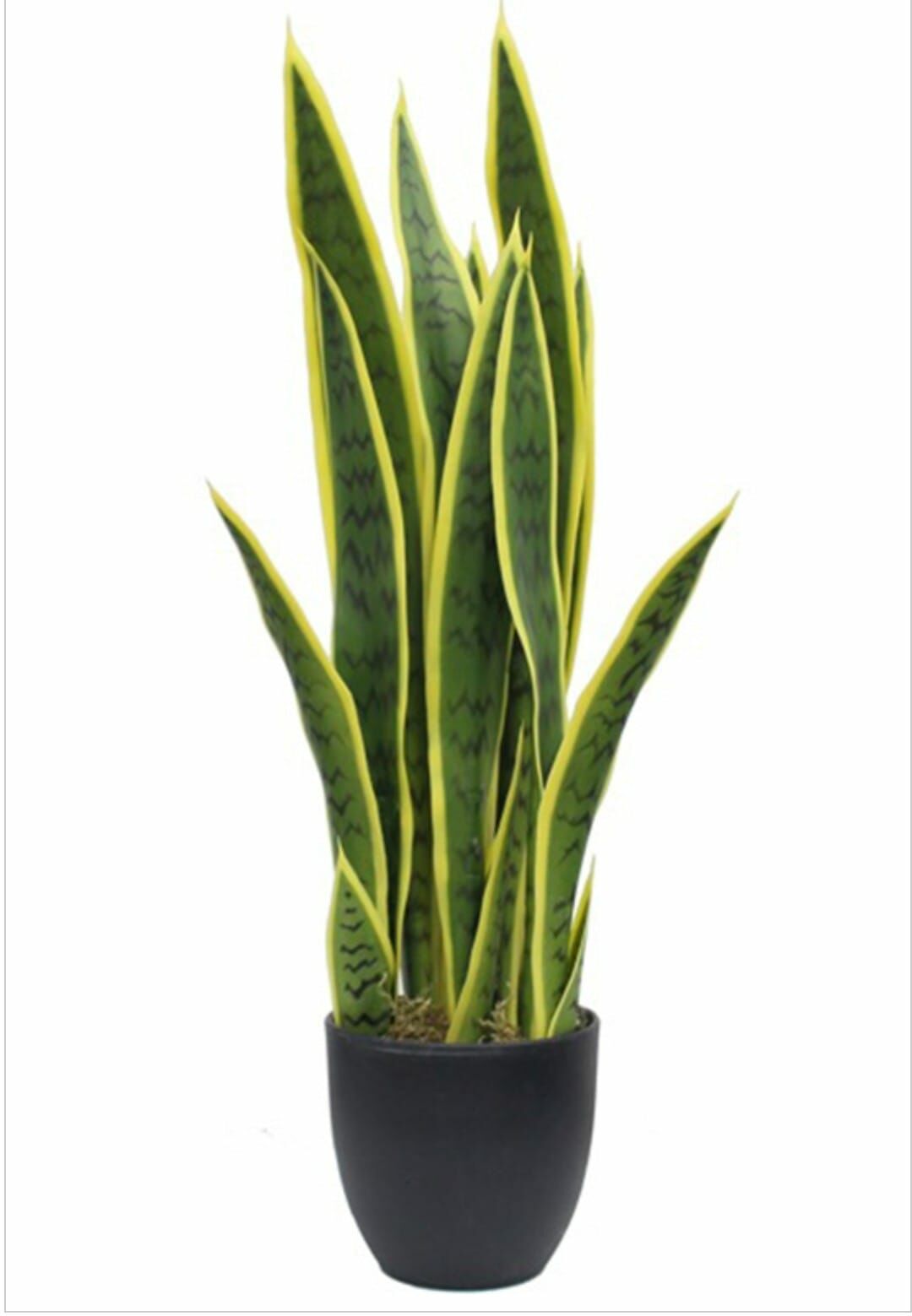 Yapay%20Sanseveria%2065%20cm