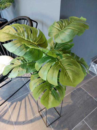 Metal Saksılı Monstera