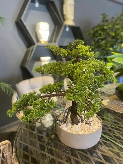 Fiber Beton saksılı bonsai