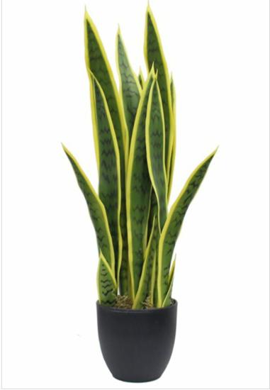 Yapay Sanseveria 65 cm