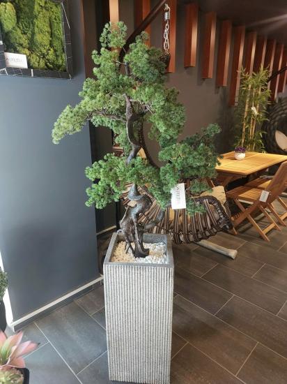 Yapay Pina Bonsai Ağacı