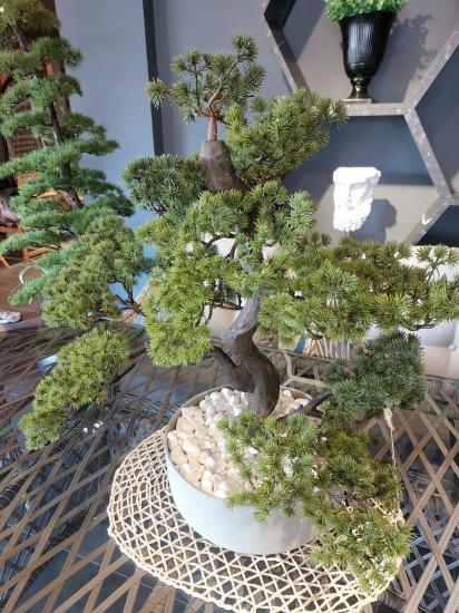 Fiber Beton Saksılı Bonsai