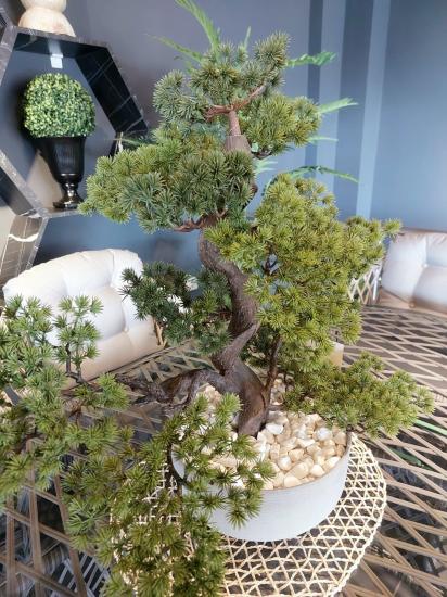 Fiber Beton Saksılı Bonsai