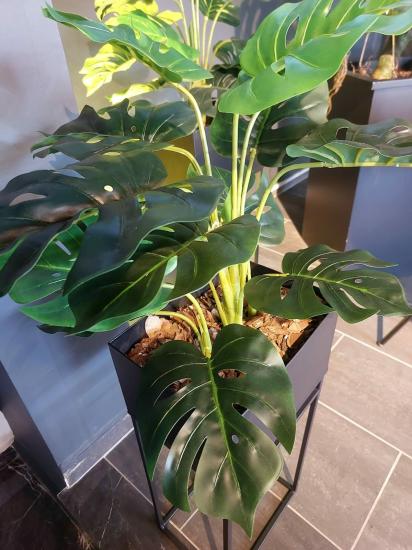 Metal Saksılı Monstera