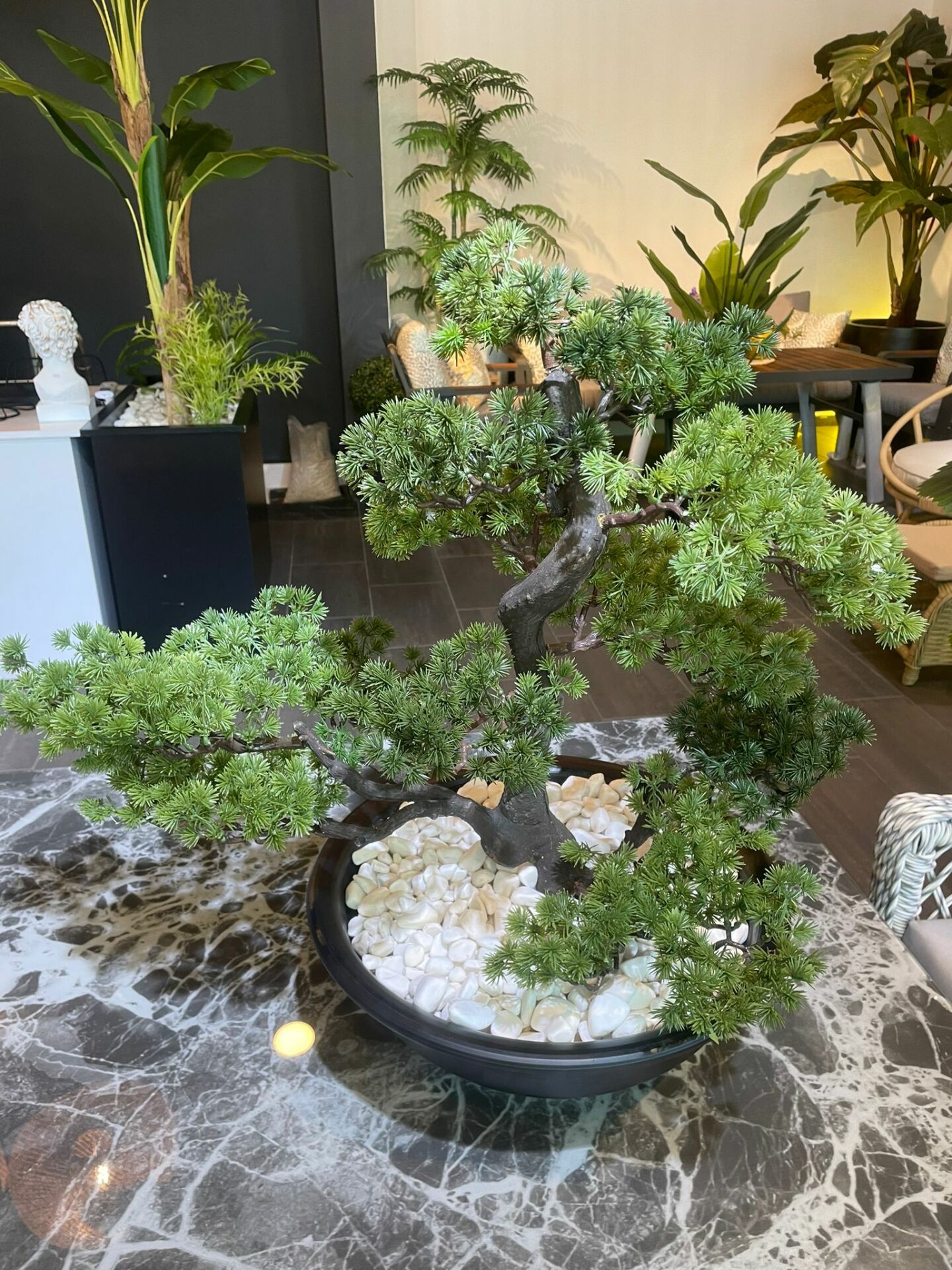 Bonsai%2063%20cm