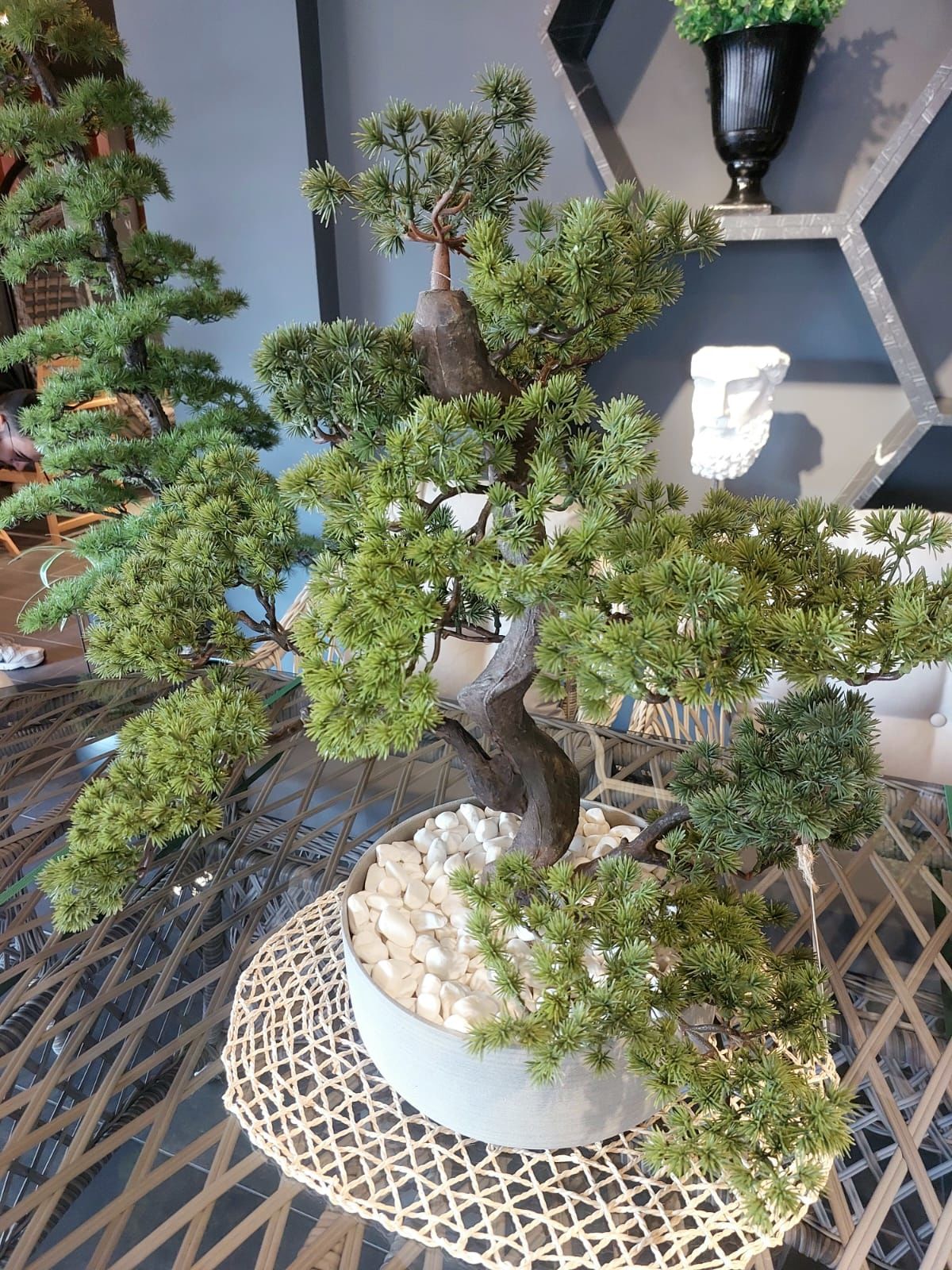 Fiber%20Beton%20Saksılı%20Bonsai